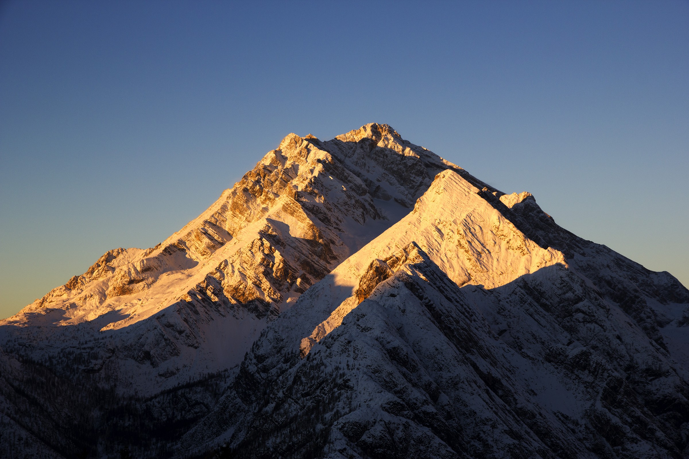 His Majesty the ANTELAO