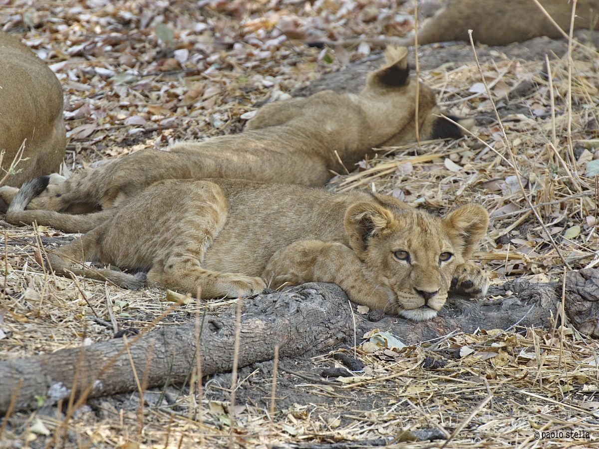 relaxed between the group