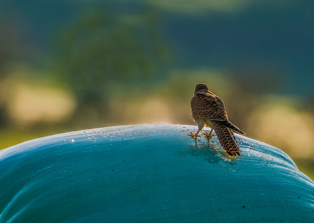 a look at the horizon