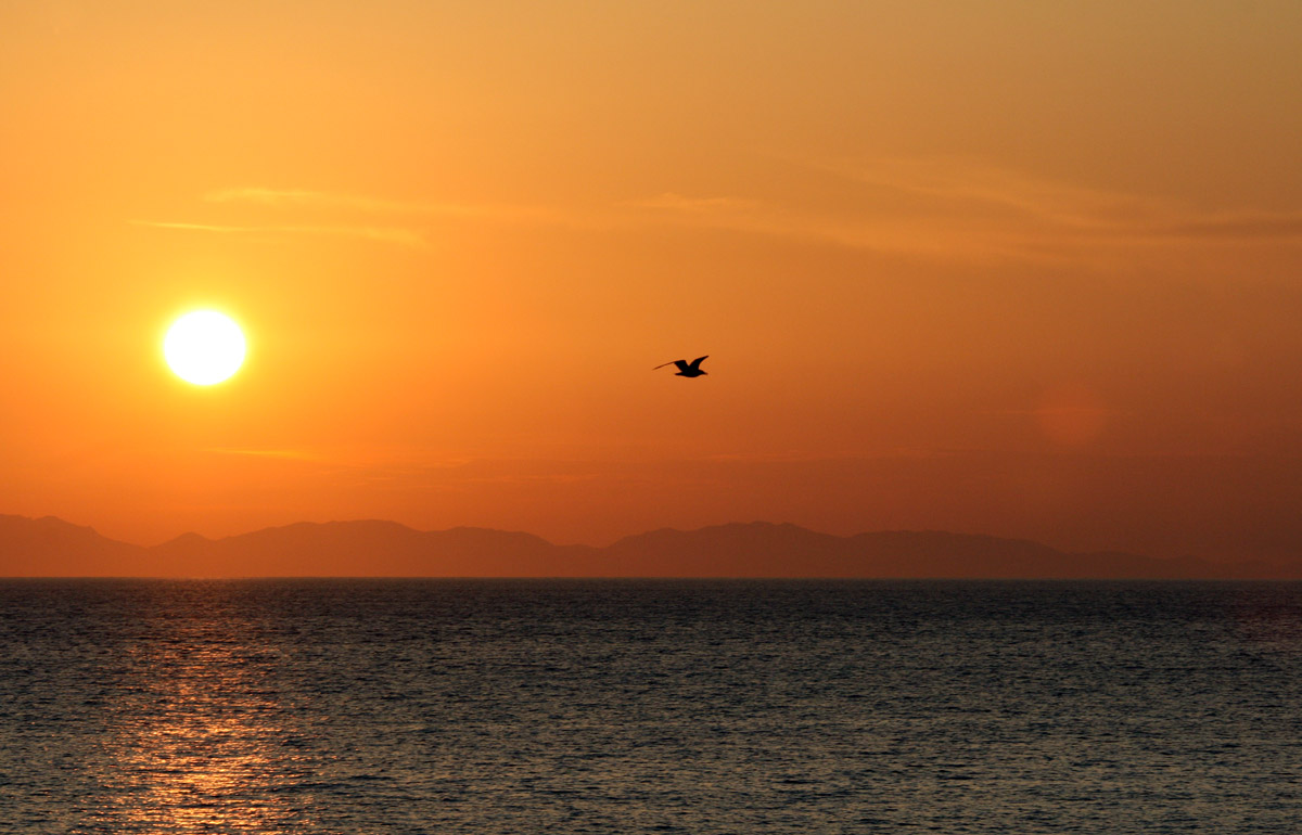 Tramonto Isola d'Elba -2