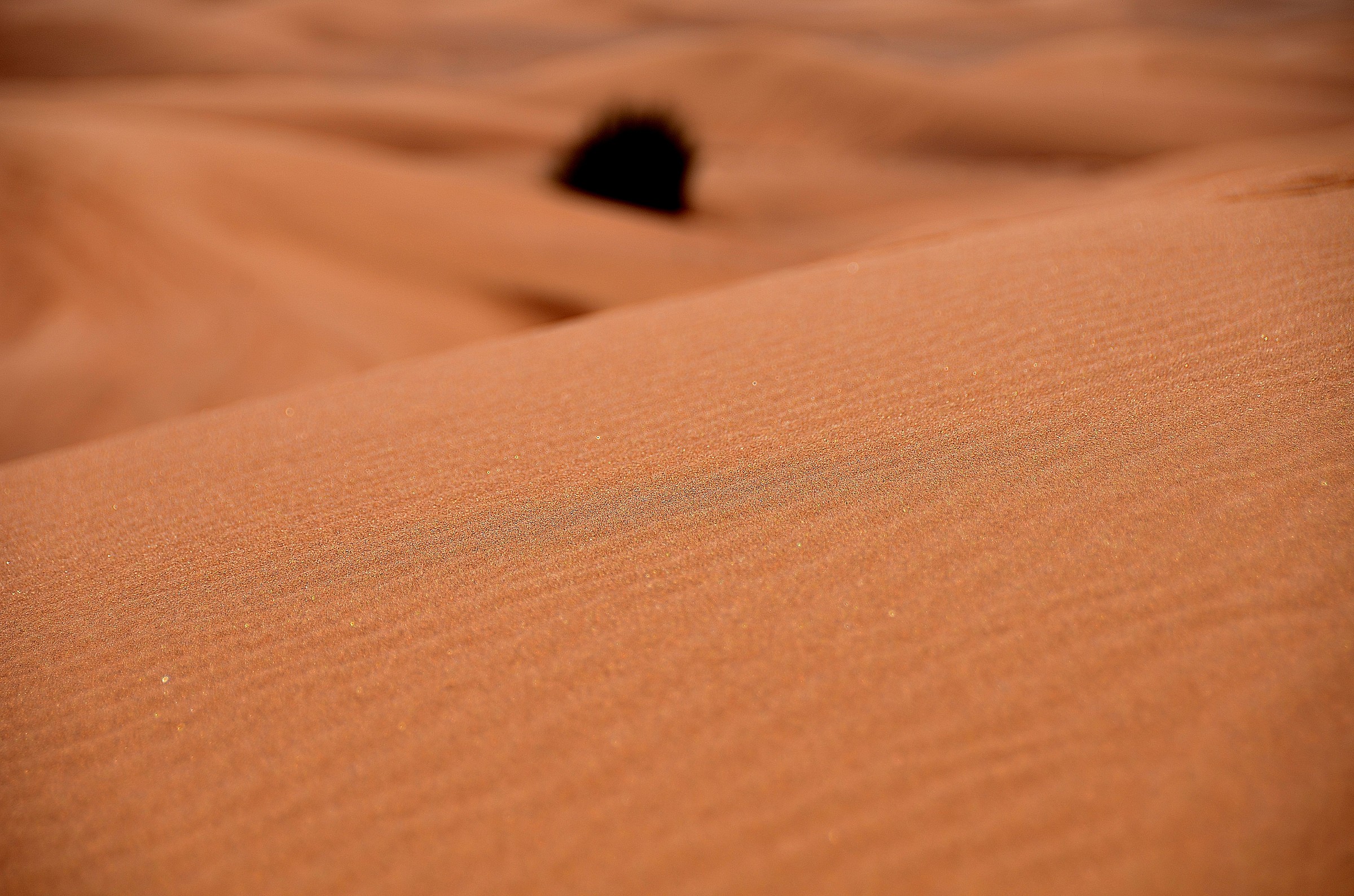 the sound of the sand