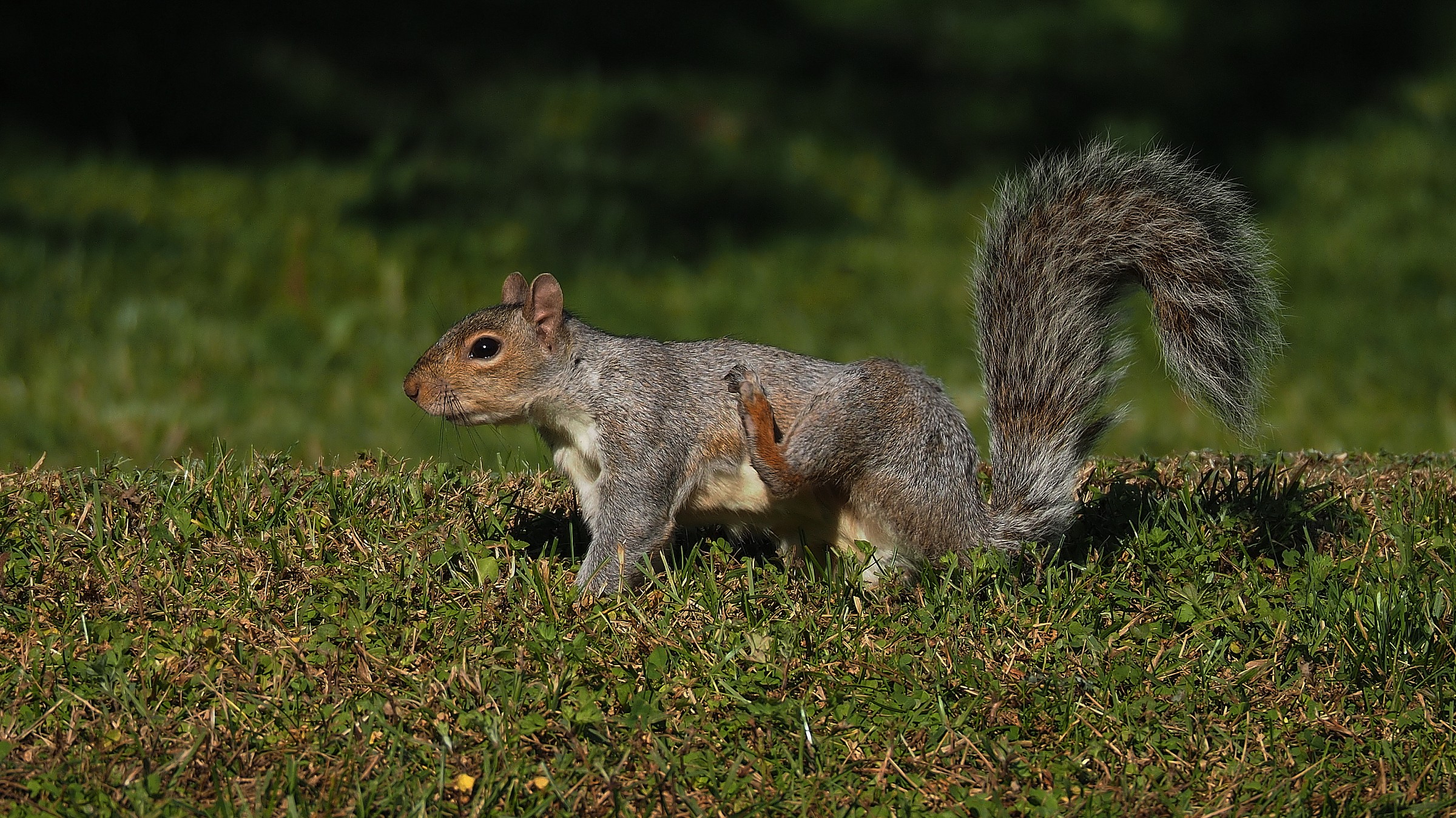 problems set in motion ............