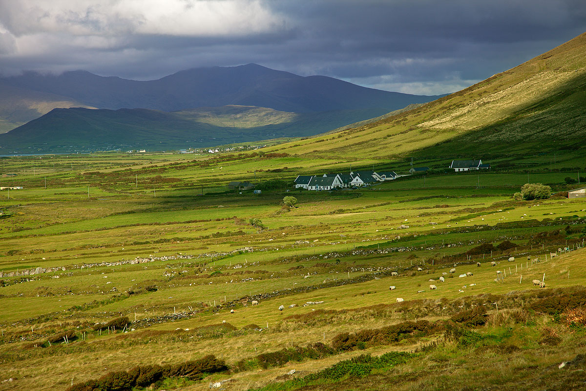 Dingle - Ireland