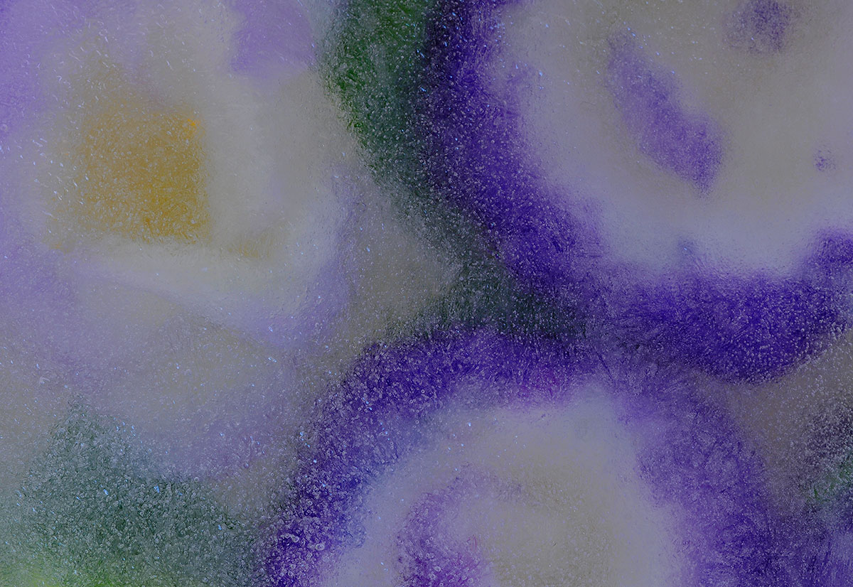 21 macro nel ghiaccio