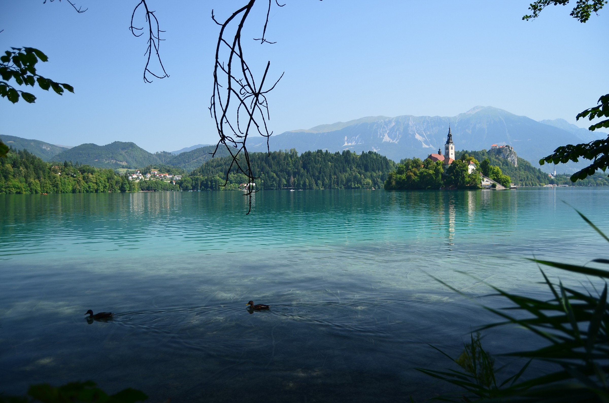 Lake Bled