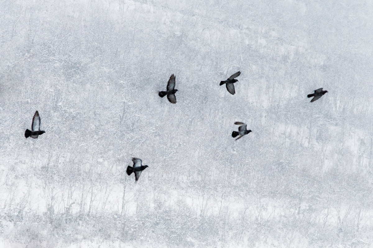 volare lontano, strada per Titesti, Romania