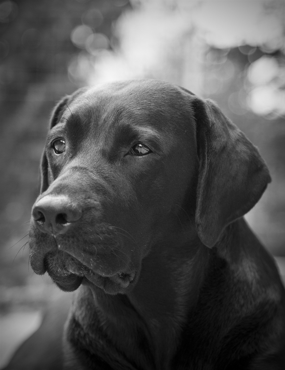 Prova ritratto Canon 24-105 f4