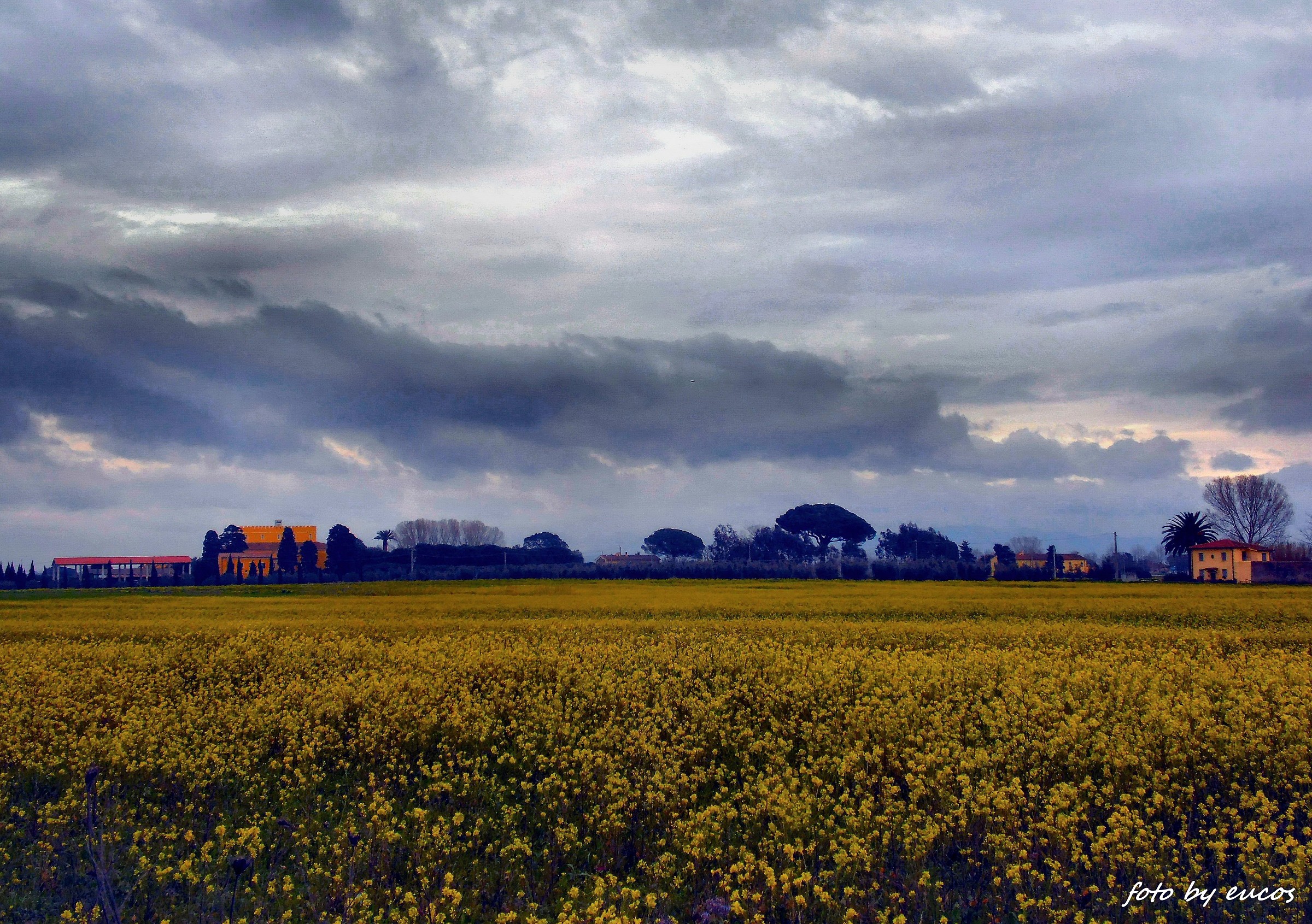 The Tuscan countryside 14