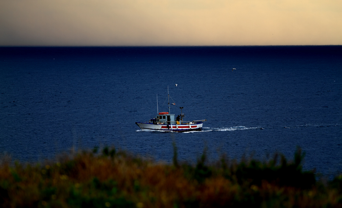 The return of the fishermen