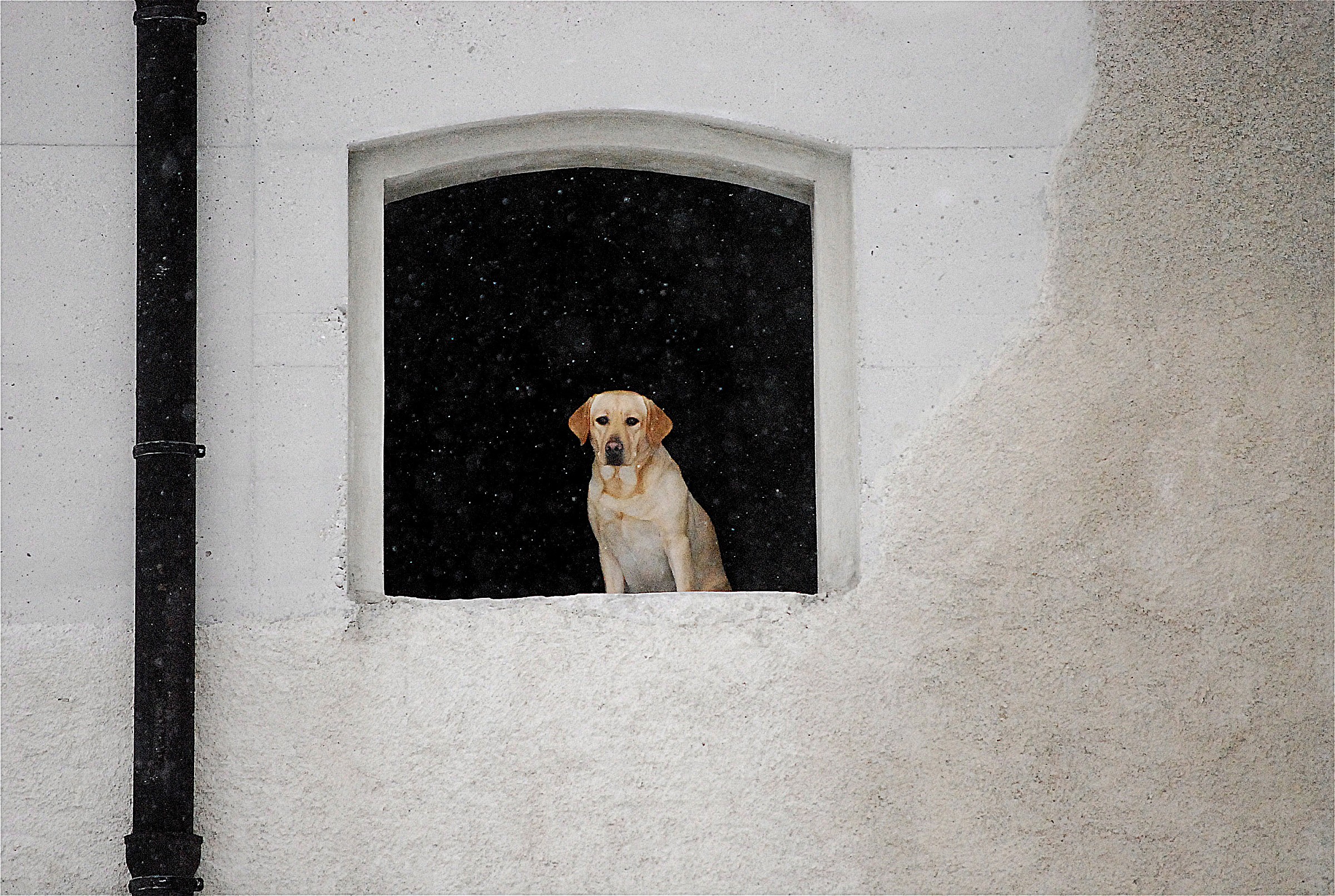 Ehi guarda! Sta nevicando...