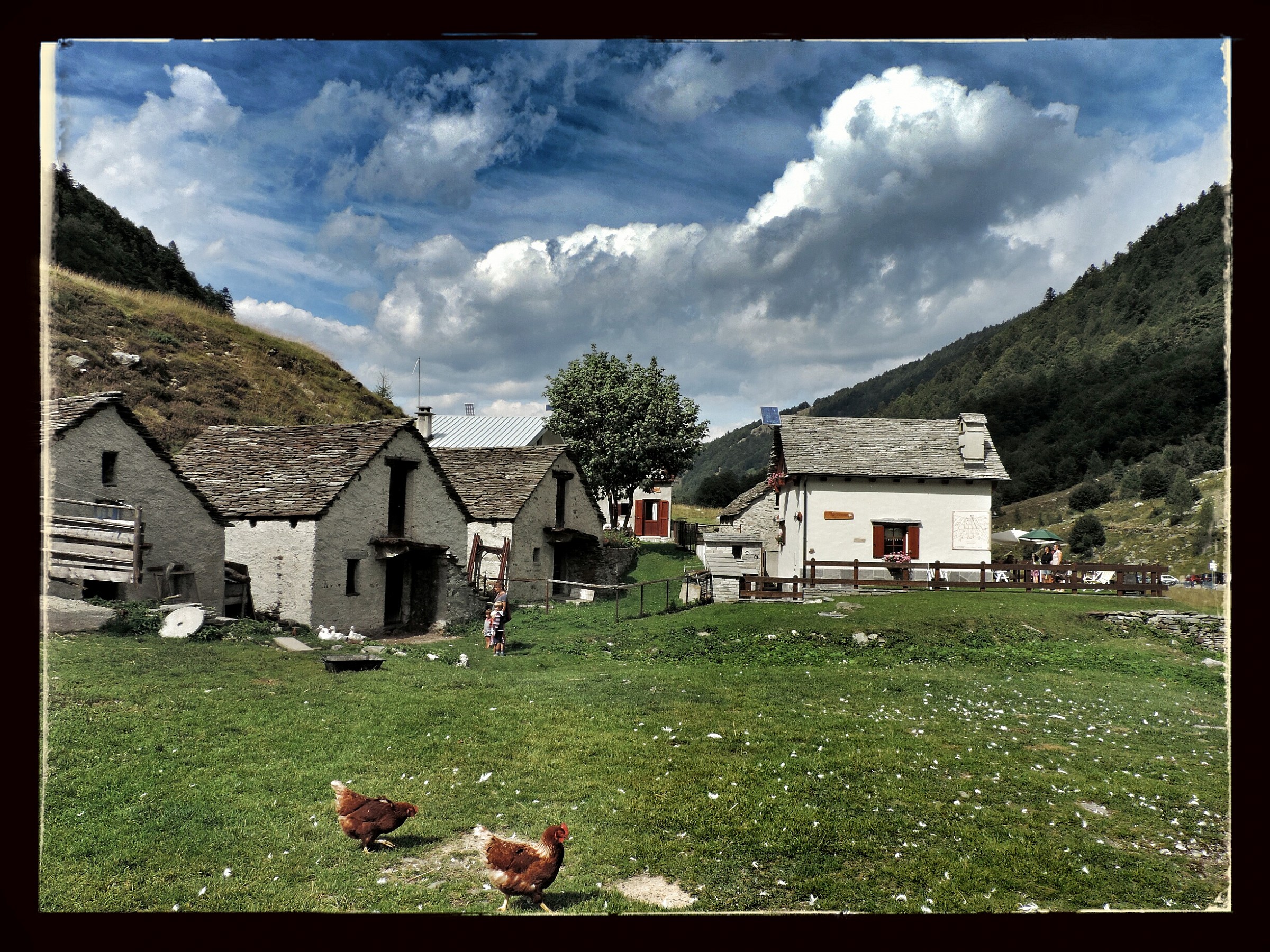 Cartolina dalla montagna