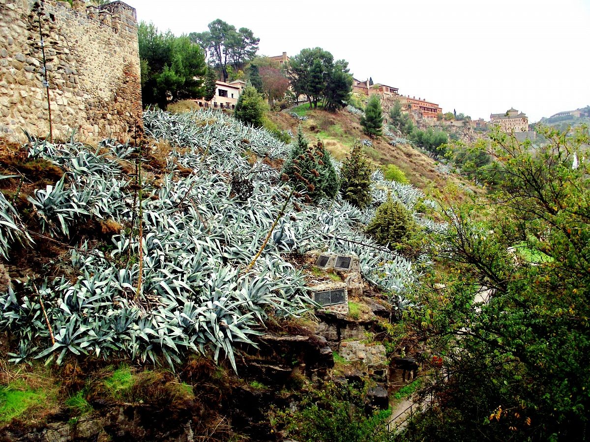 Toledo2