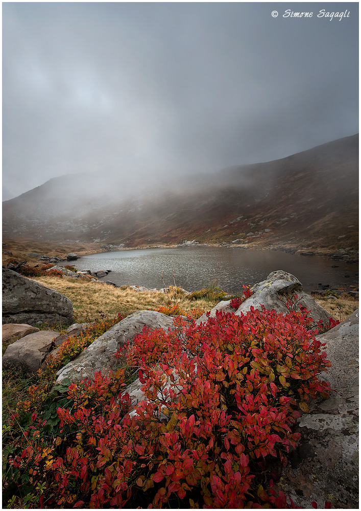 Wishing a ray of sunshine