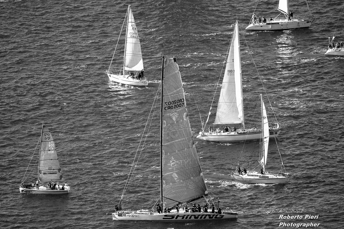 barcolana of the regatta in Trieste