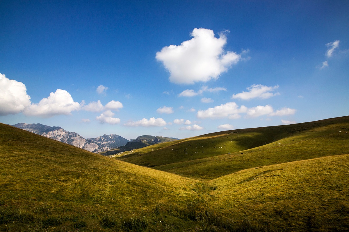 Lessinia estate 2013-1