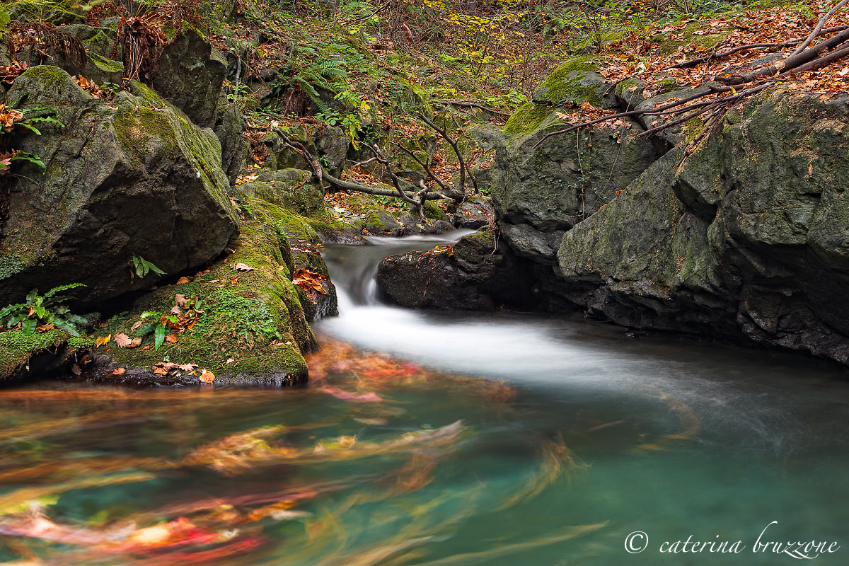 Autumn on the river Gorsexio