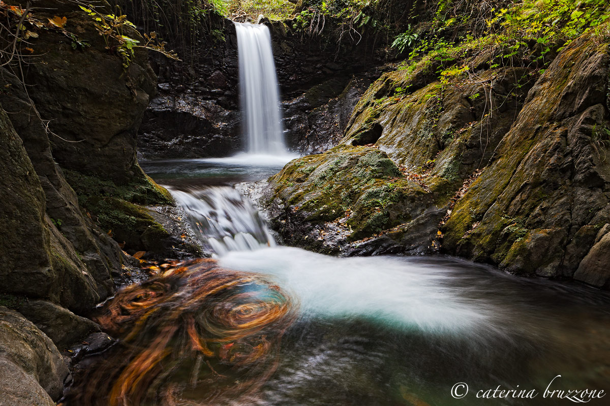 Autunno sul torrente Gorsexio
