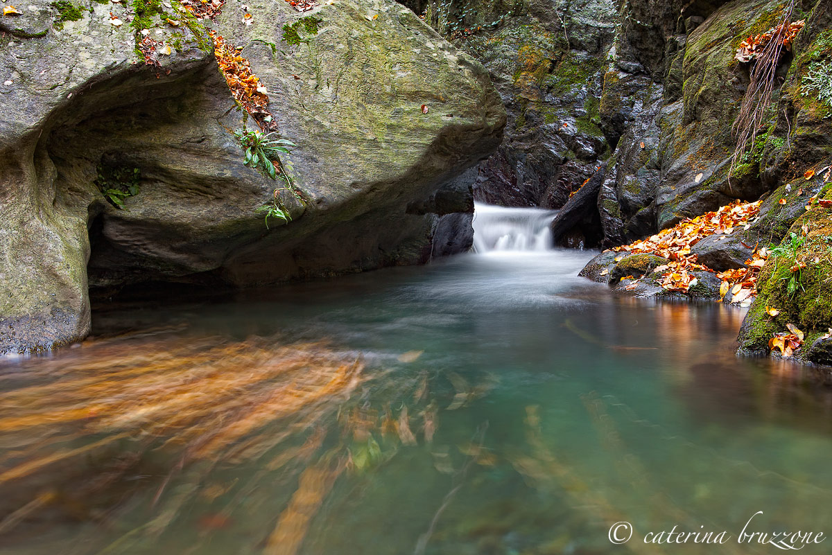 Autumn on the river Gorsexio