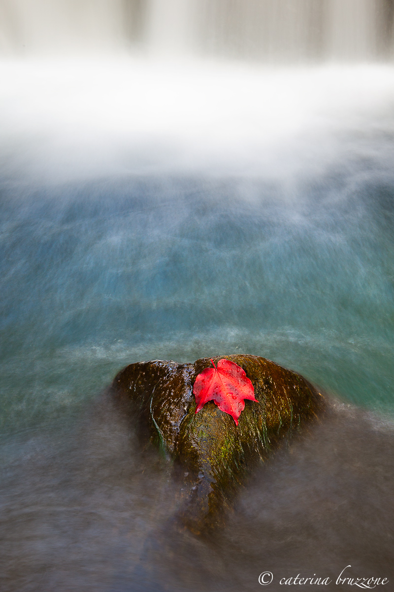 Autunno sul torrente Gorsexio