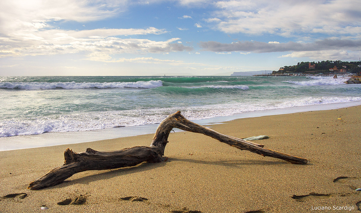 end of the journey, MG10537