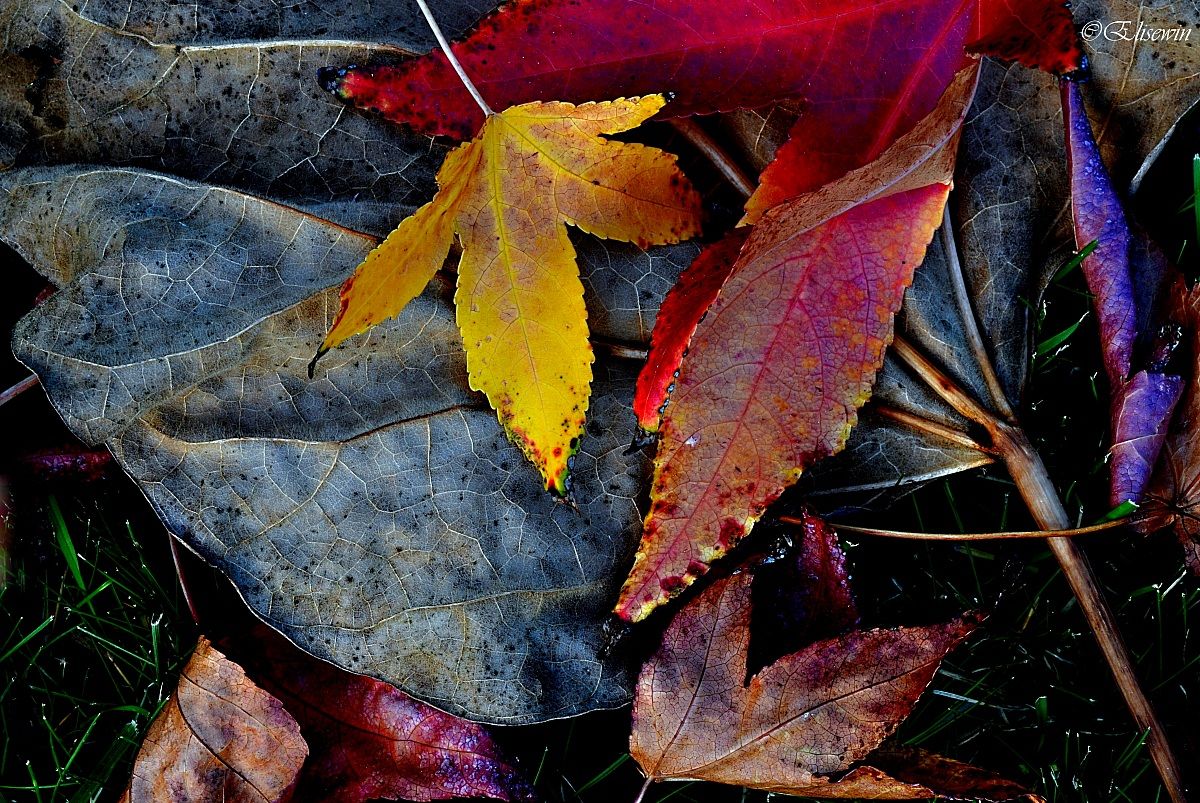 Lost in the wake of Time