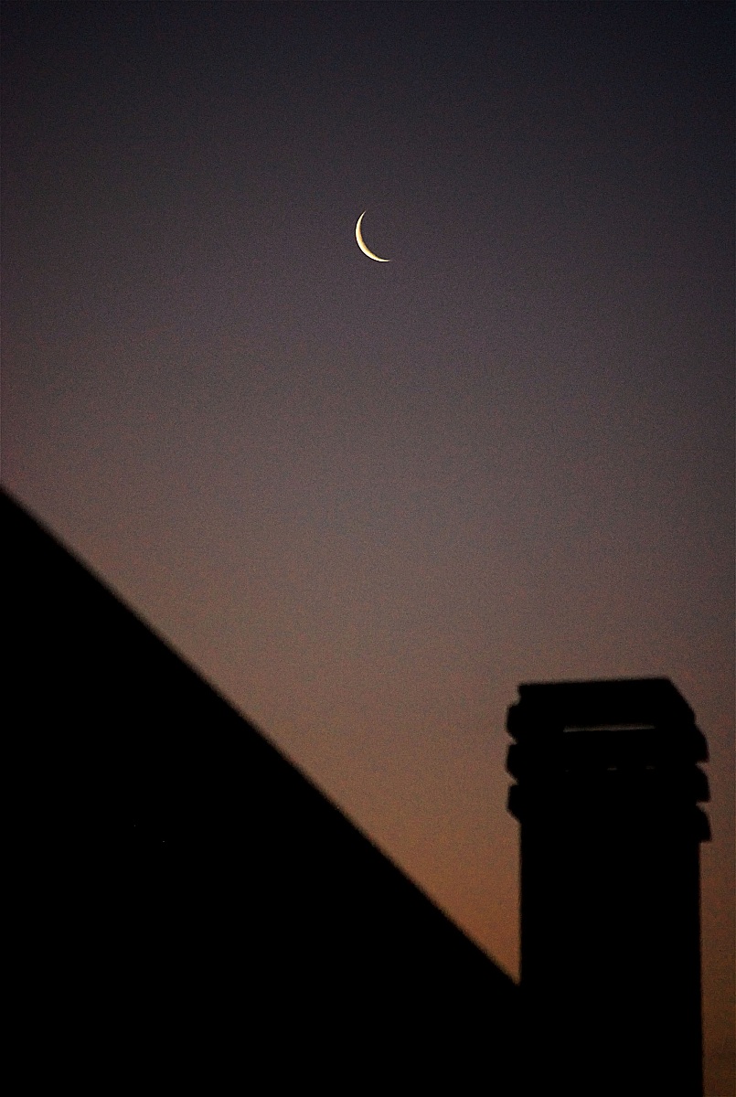 the dawn of a new year