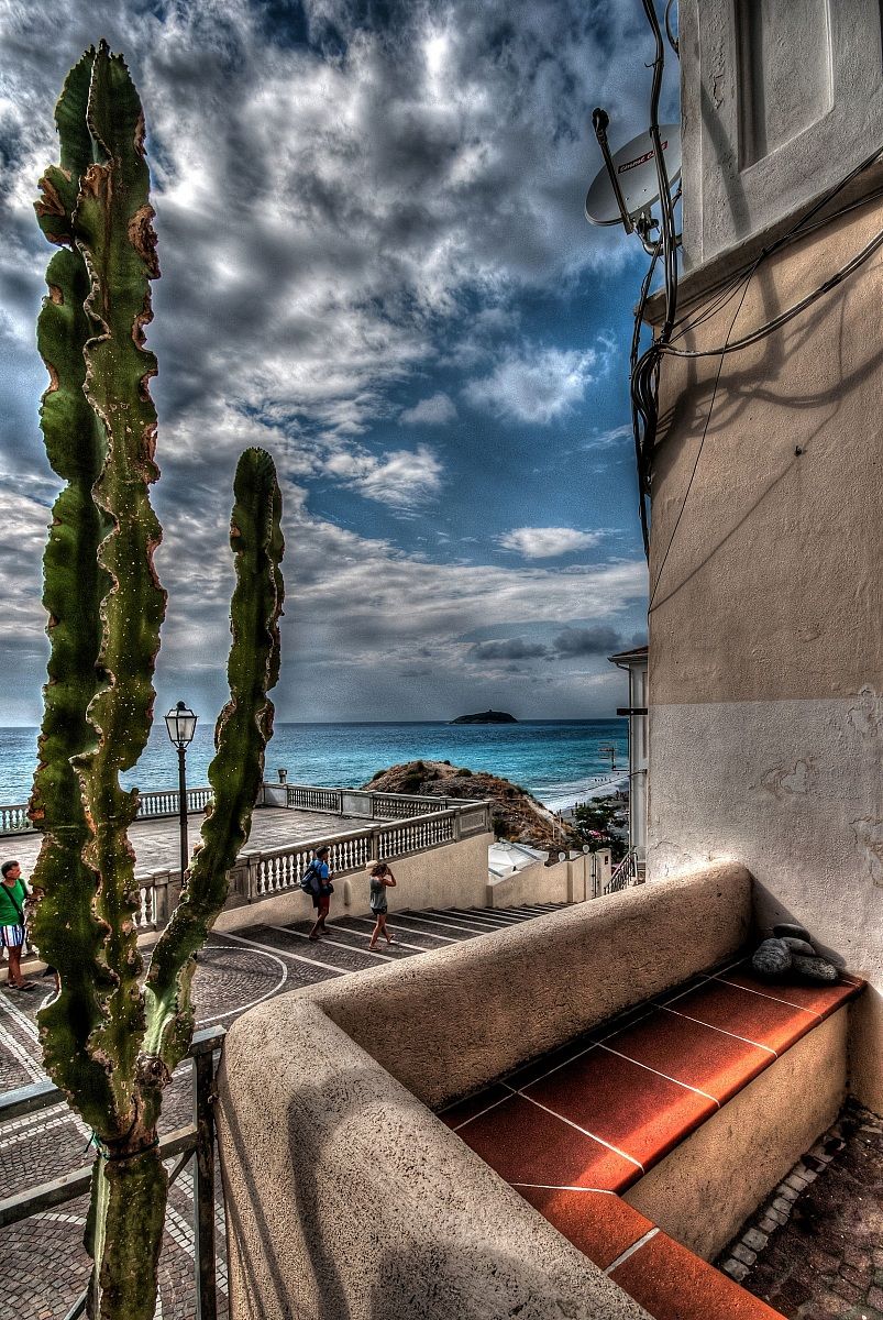 View from the Magician