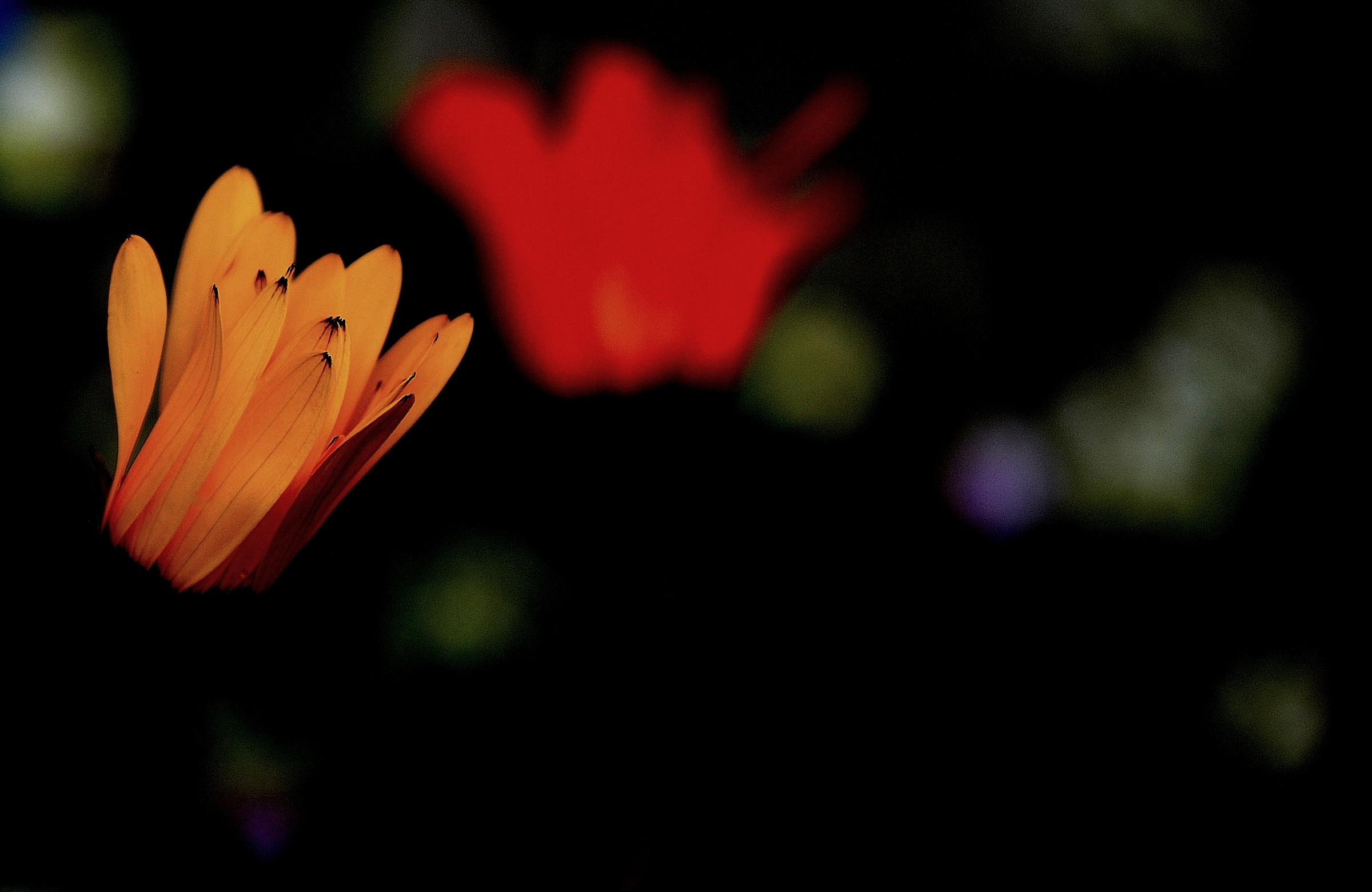 Lights in the dark ............