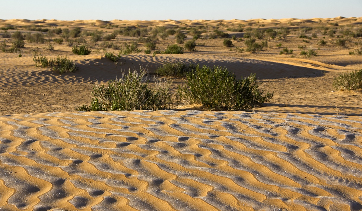 Dunes and ice