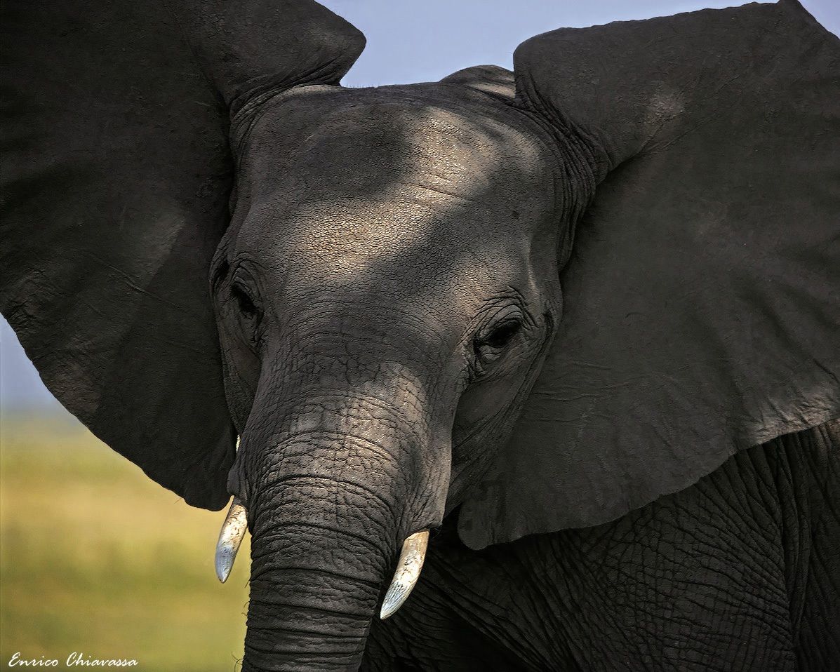 Uomo avvisato...mezzo salvato