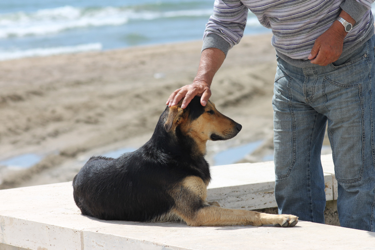 a simple gesture is worth a thousand words