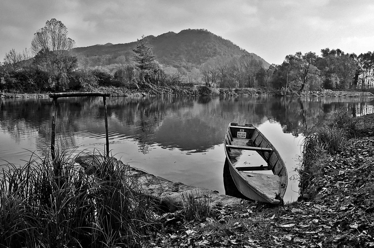 Have_You_Abandoned_Me?