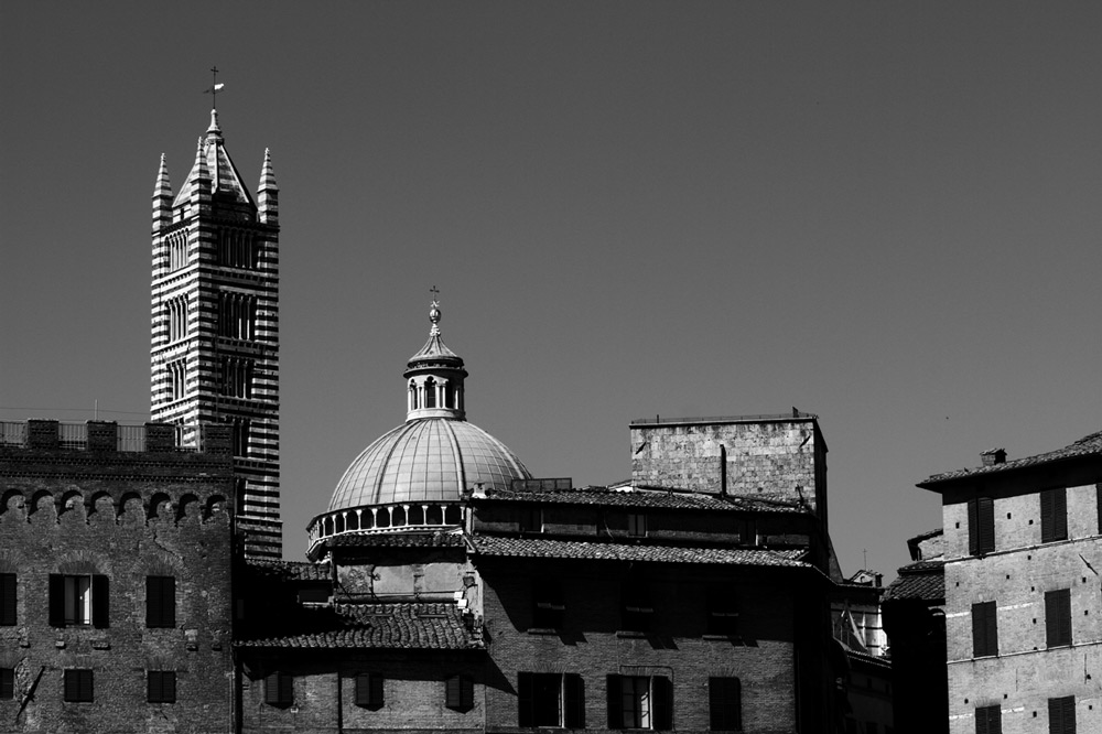 Piazza del Campo Siena