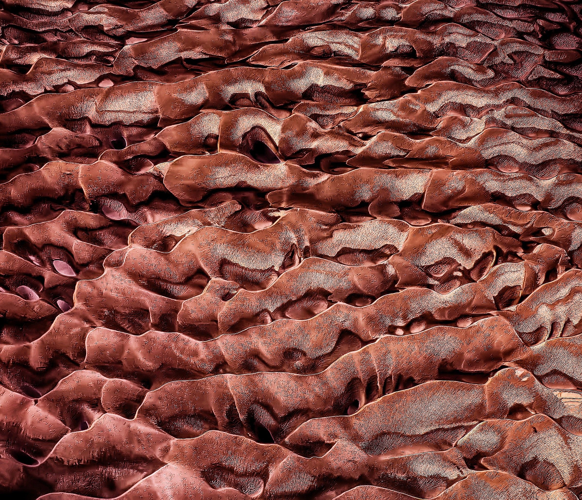 Mentalità del gregge