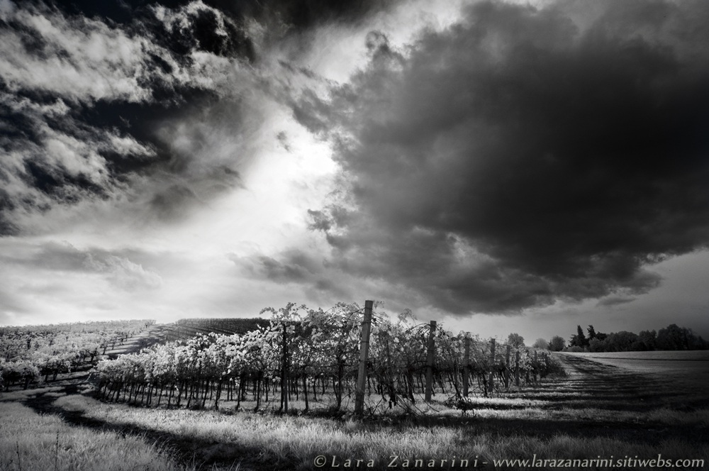 che rumore fanno le nuvole?