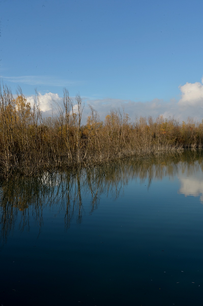 reserva Silvano Pietra ( Pavia )