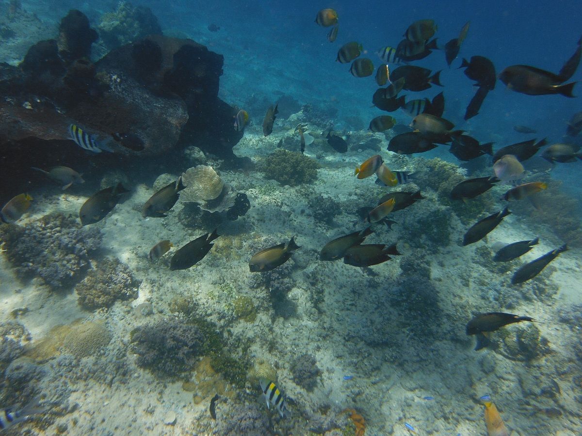 tutti insieme per pranzare