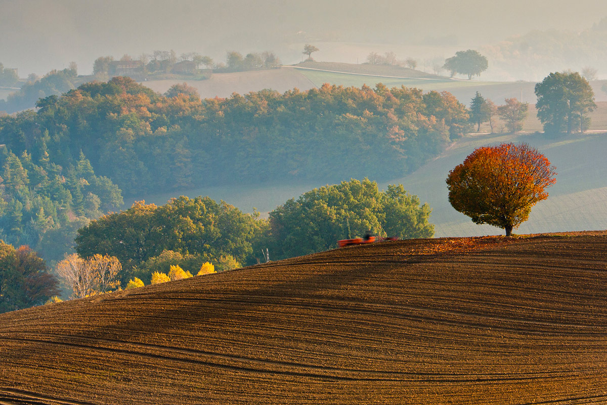 The work in the morning