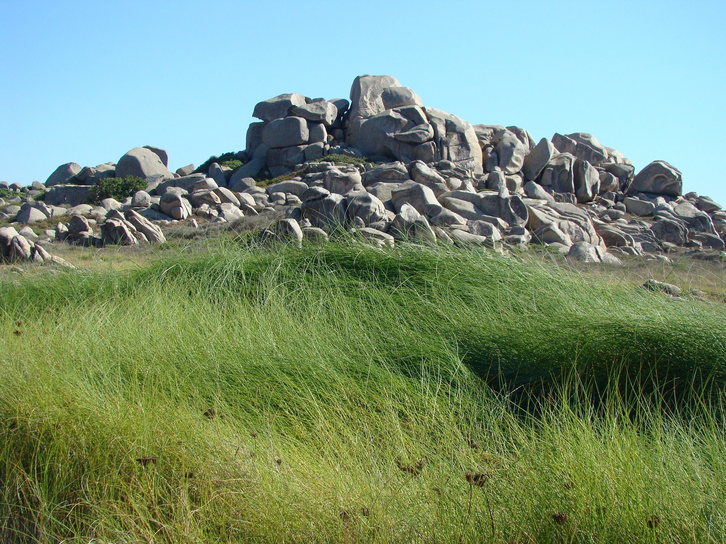 Il vento fa il suo giro