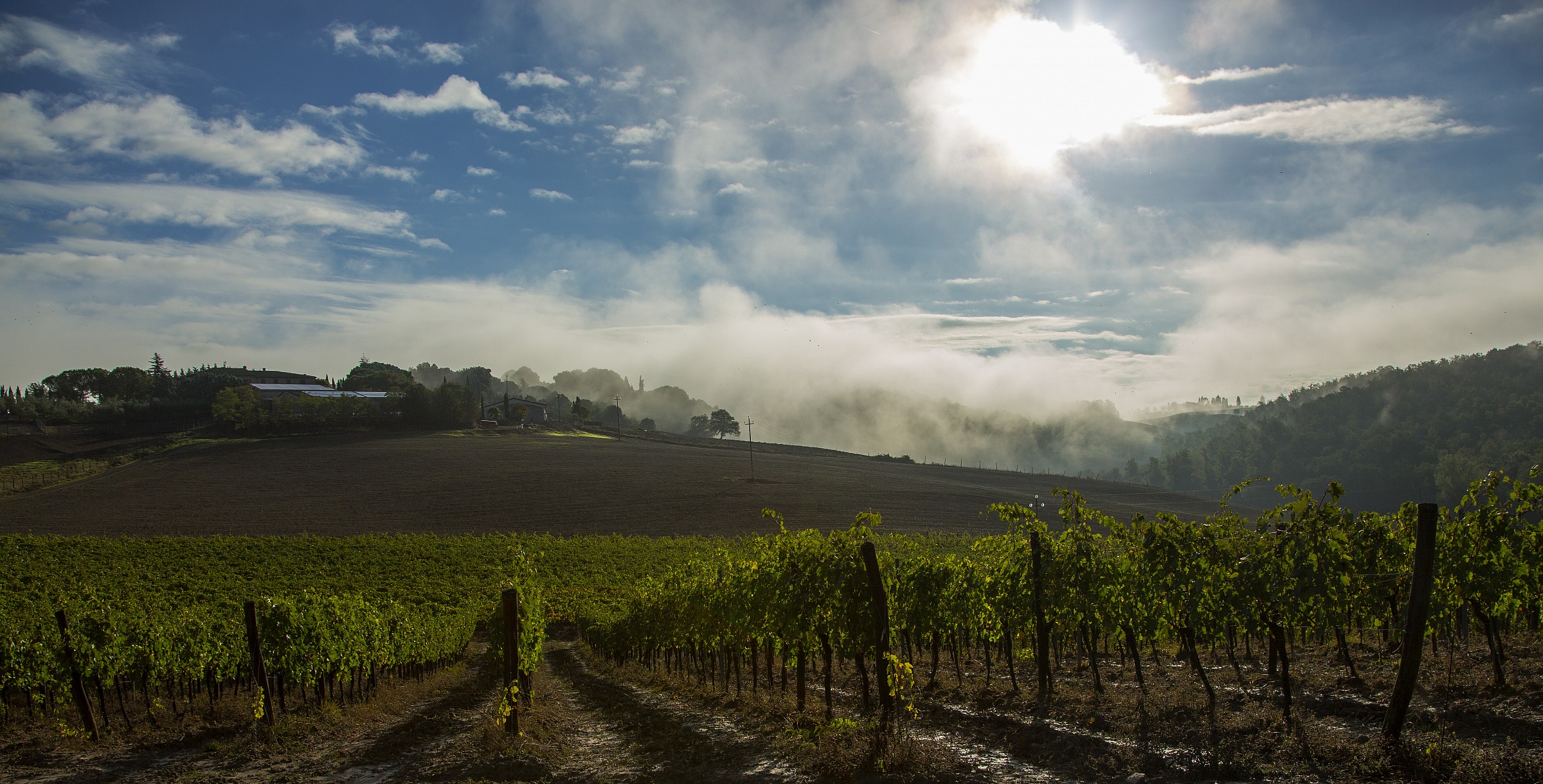 nella zona del Chianti