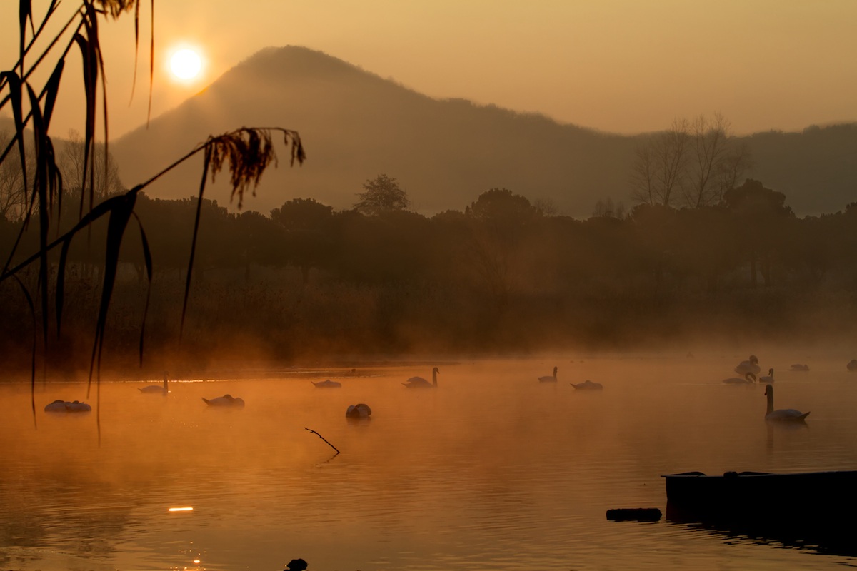 ogni giorno.......è diverso