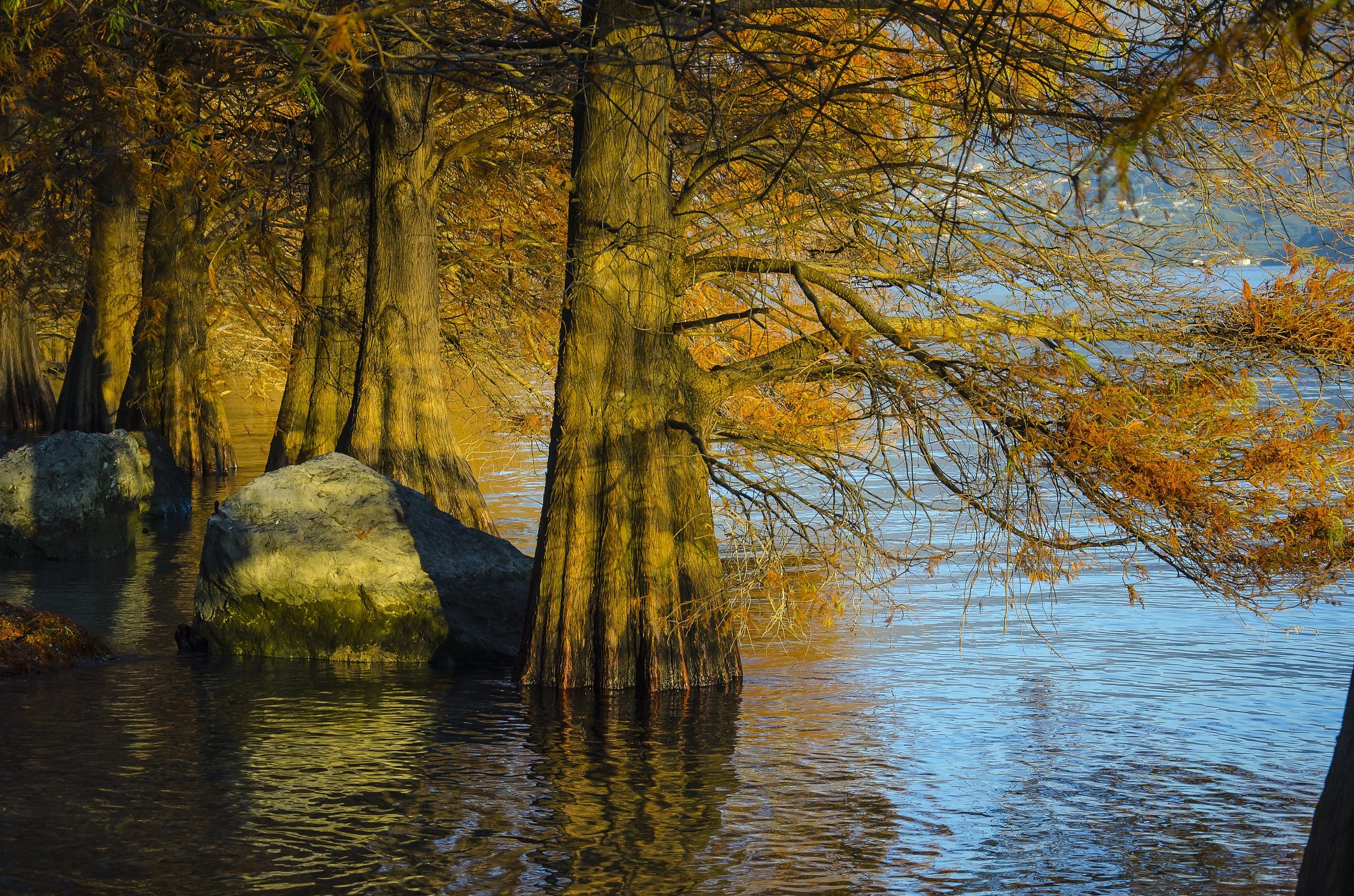 piedi perennemente bagnati
