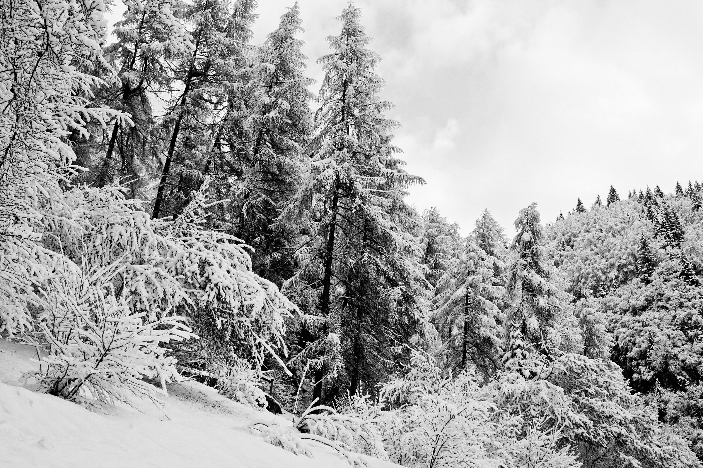 inverno in altopiano