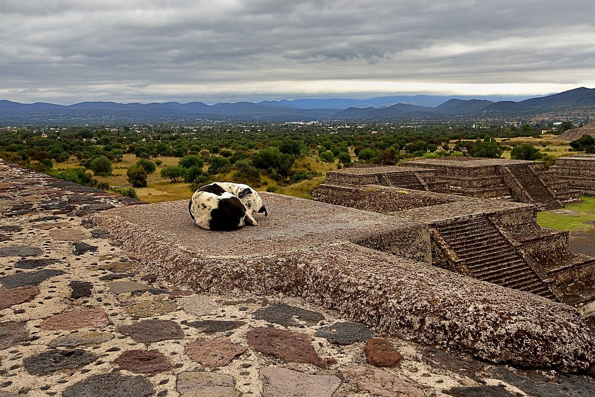 Teotihuacàn