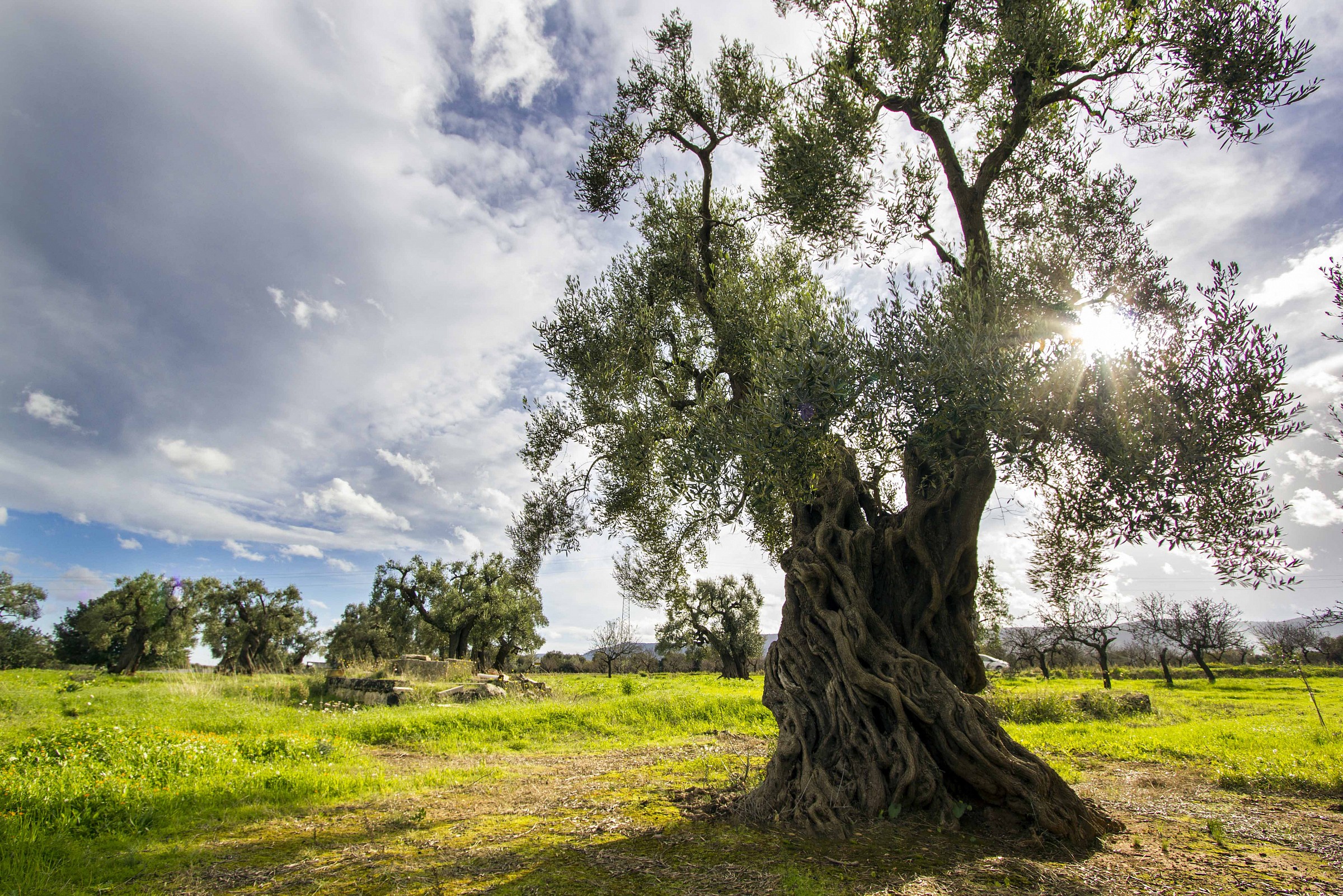 The sun kisses the beautiful