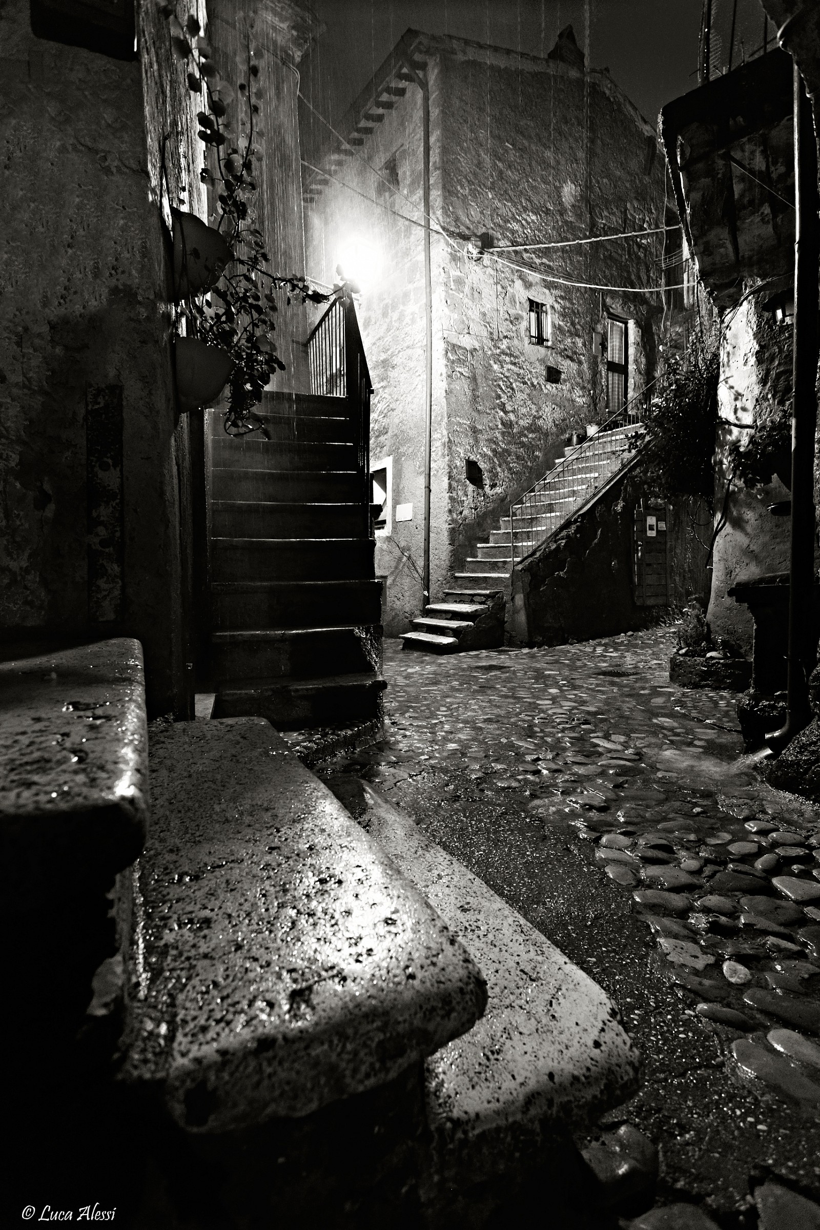 A shelter from the rain