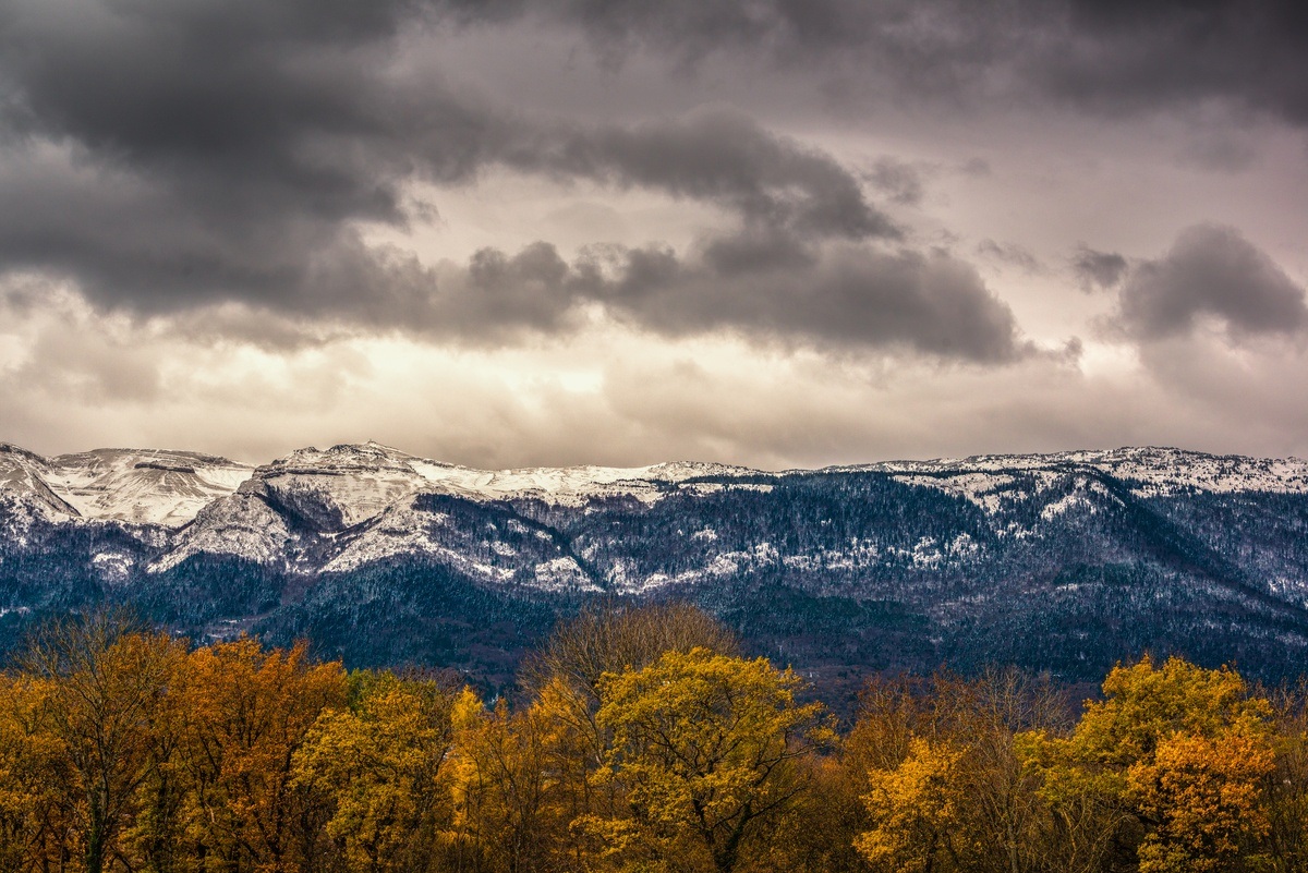 Winter in background