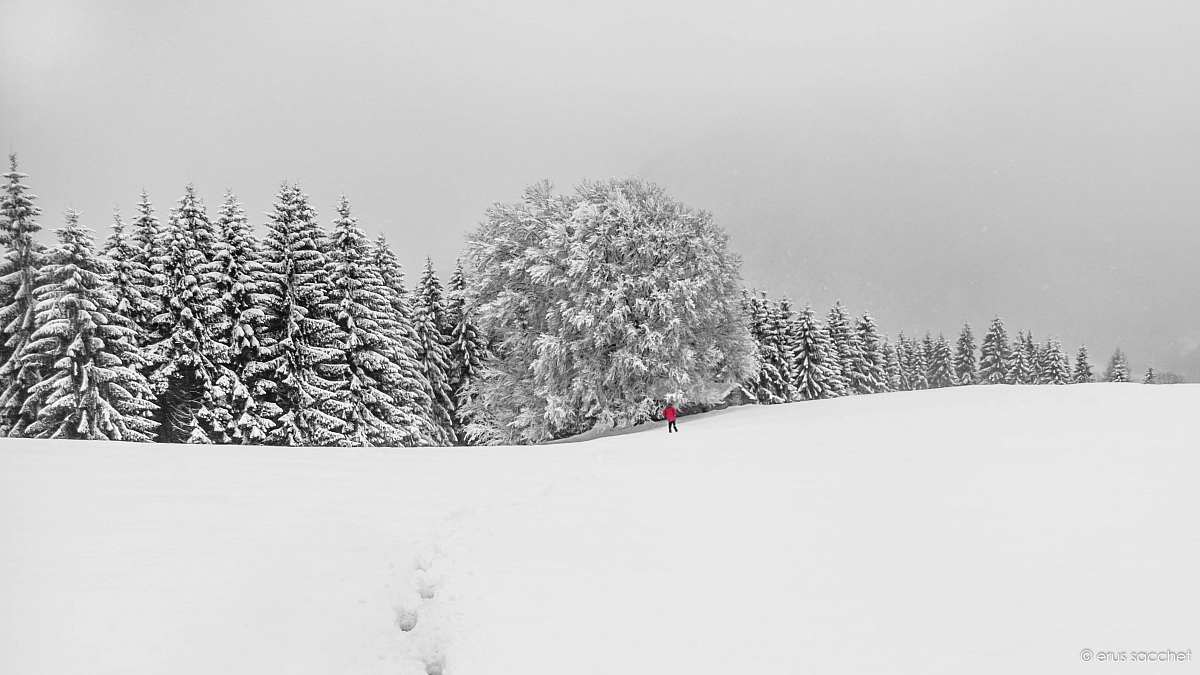 A red point to approach the dream to reality!