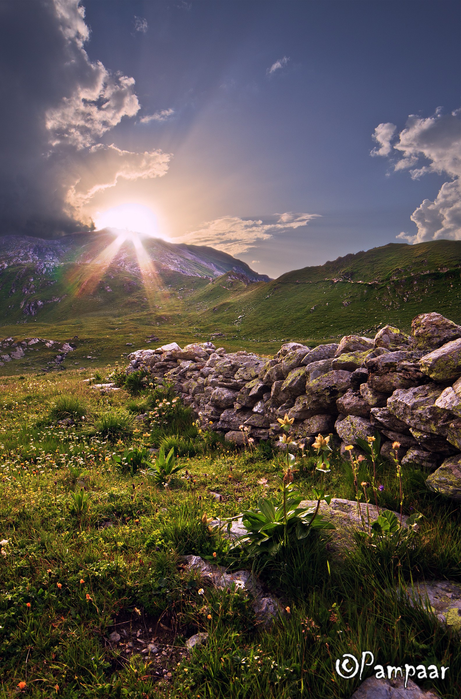 Picnic with virgilio