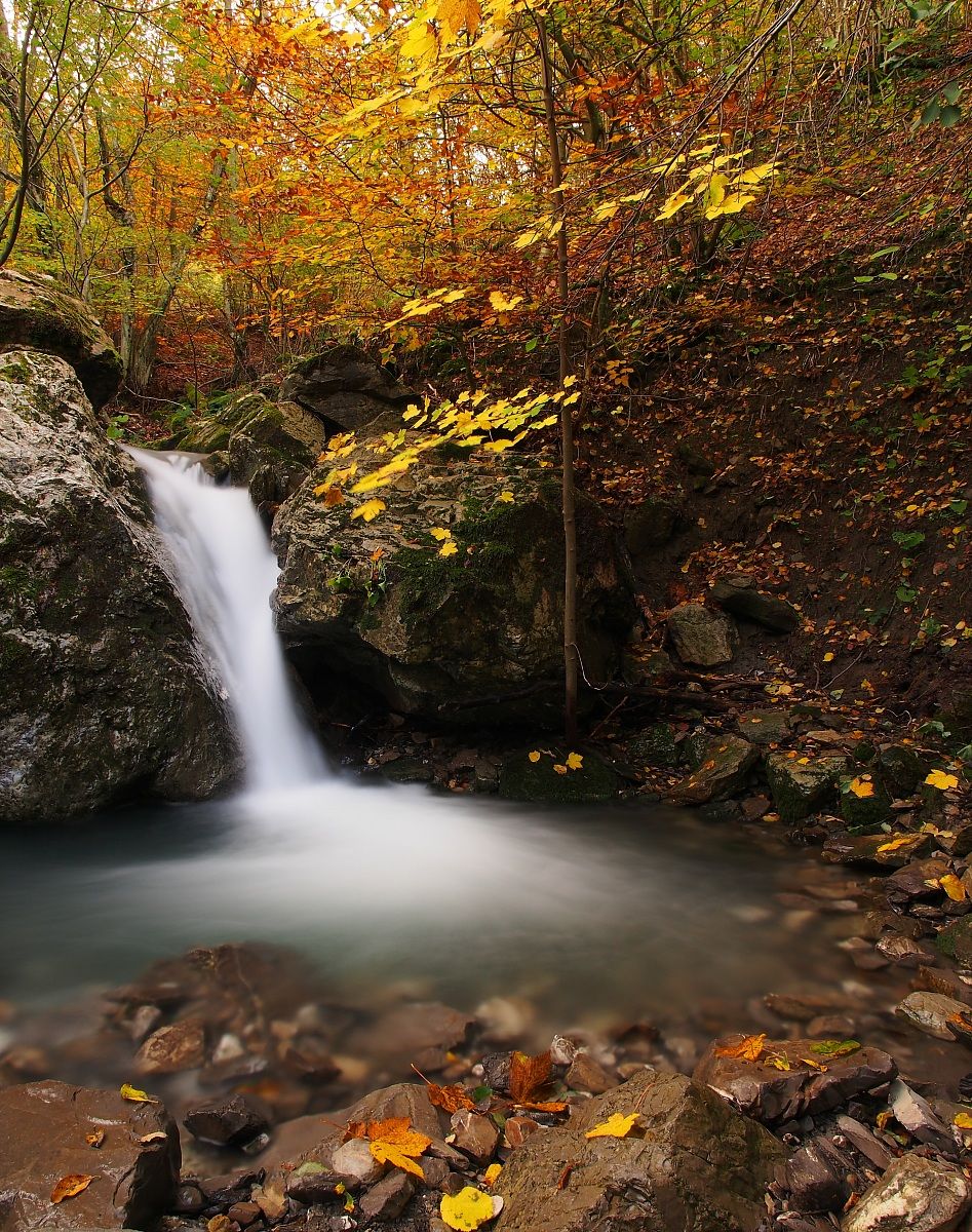 Sources river lean "Lunigiana"